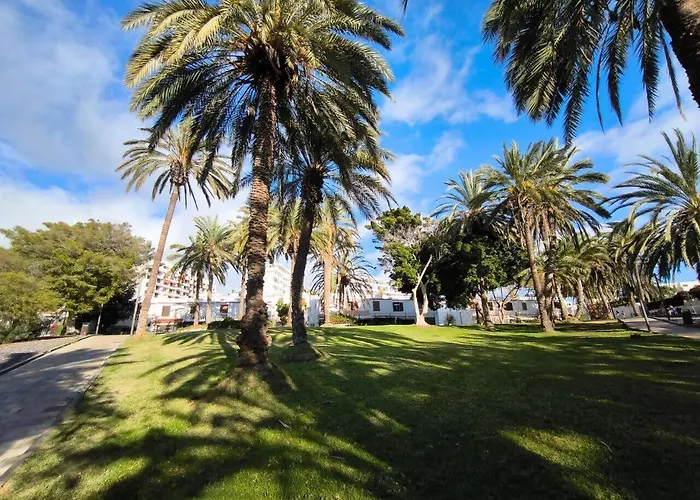 Rentenerife Adeje Sea Views Horizon Appartement